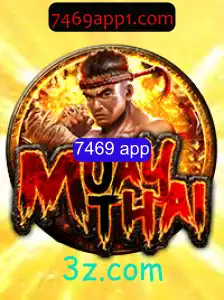 MuayThai: Uma Introdução ao Jogo e Suas Regras